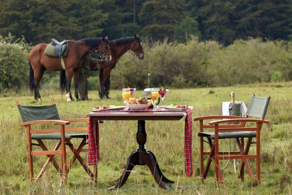Hotel Fairmont Mount Kenya Safari Club (Nanyuki)